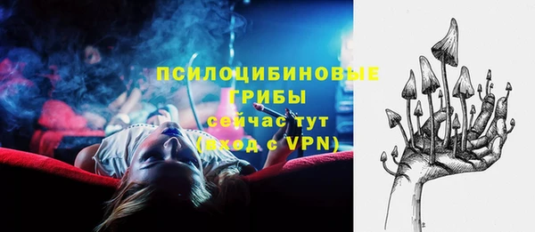 винт Алзамай