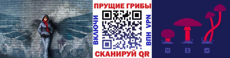 omg онион  Усолье-Сибирское  Псилоцибиновые грибы мухоморы 
